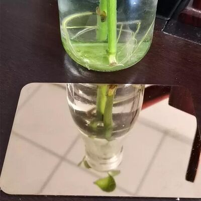 kaufen Warmgewalzte 316 Edelstahlplatte zum Wandpunktieren mit BA 2B 8K HL Oberfläche Online-Herstellung